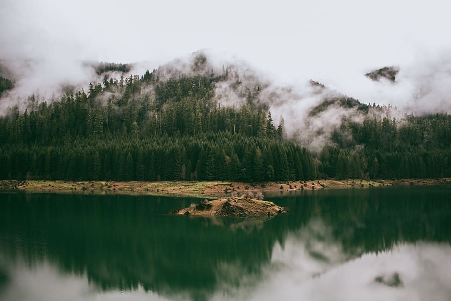 smoke covered mountain near body of water, body of water near forest mountain HD wallpaper