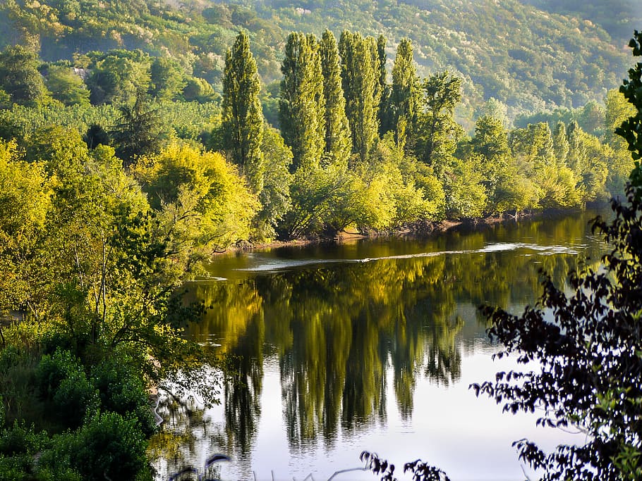 river, landscape, trees, nature, plant, beauty in nature, tranquility HD wallpaper