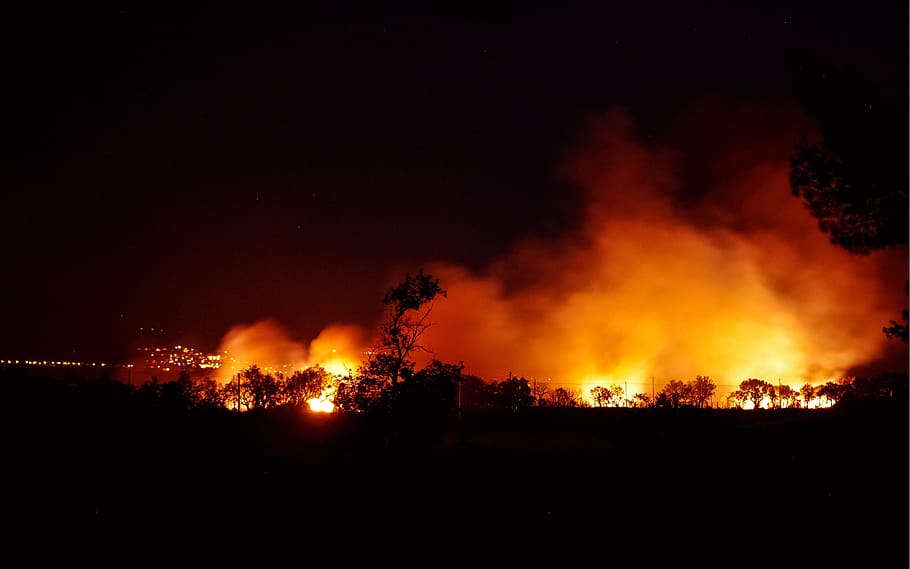 fire during daytime, flames, night, summer, blaze, reverb, the forest fire HD wallpaper