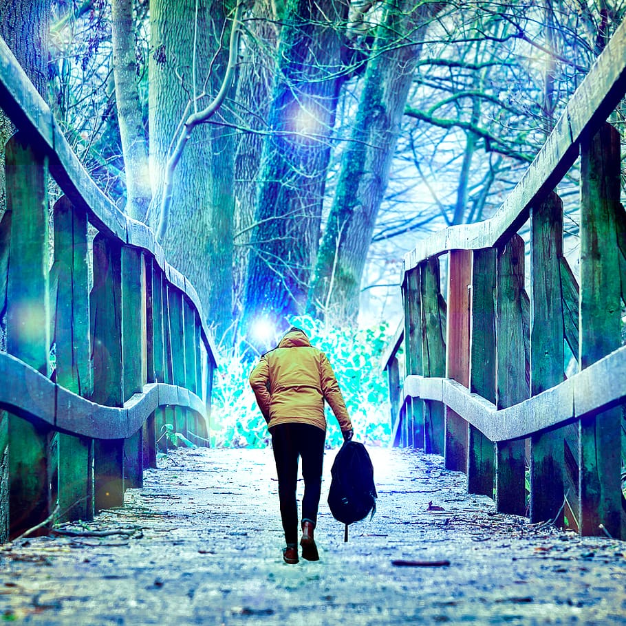 bridge, forest, sky, wood, rear view, real people, one person HD wallpaper