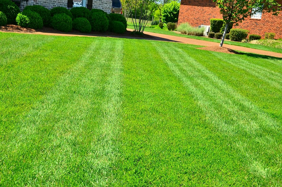 HD wallpaper: green grass lawn, lawn care, lawn maintenance, lawn services  | Wallpaper Flare
