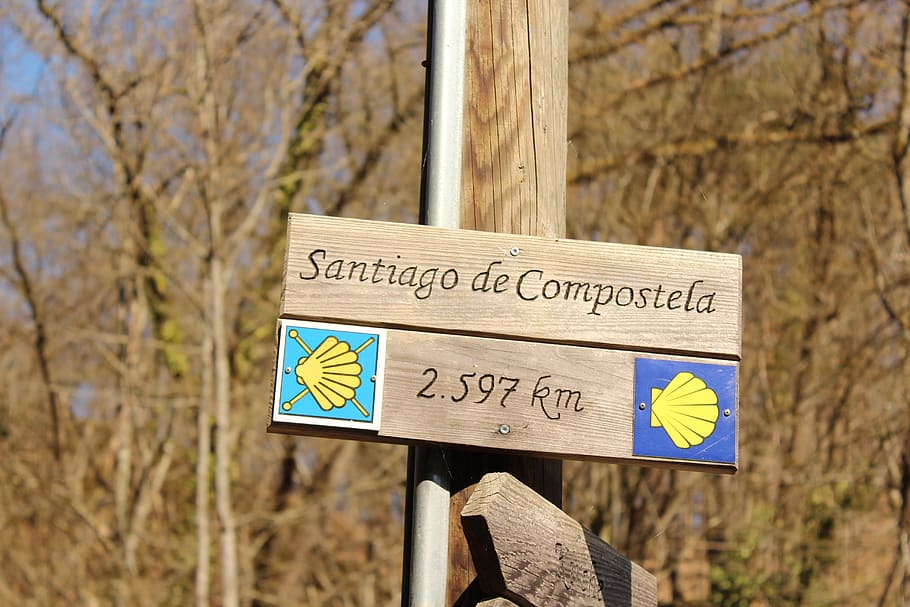 nature, jakobsweg, santiago de compostela, distance, hike, make a pilgrimage
