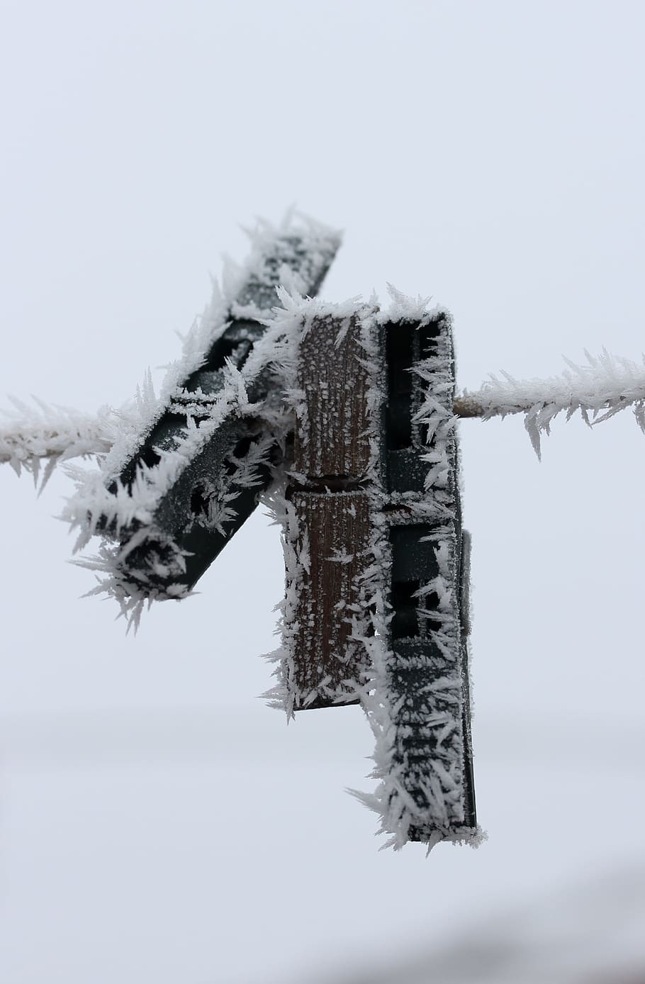 hook, frozen, rime, winter, white, cold temperature, snow, sky HD wallpaper