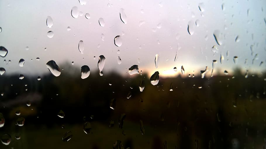 window, pane, drops, rain, glass, macro, after the storm, wet HD wallpaper