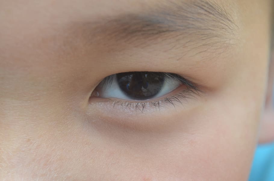 eye, macro, face, body, part, eyebrow, lash, skin, human body part HD wallpaper