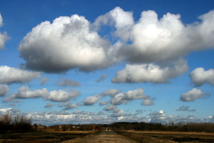 Cloud, Fluffy, Forest, Road, sky, blue, day, cloud - sky, nature HD wallpaper