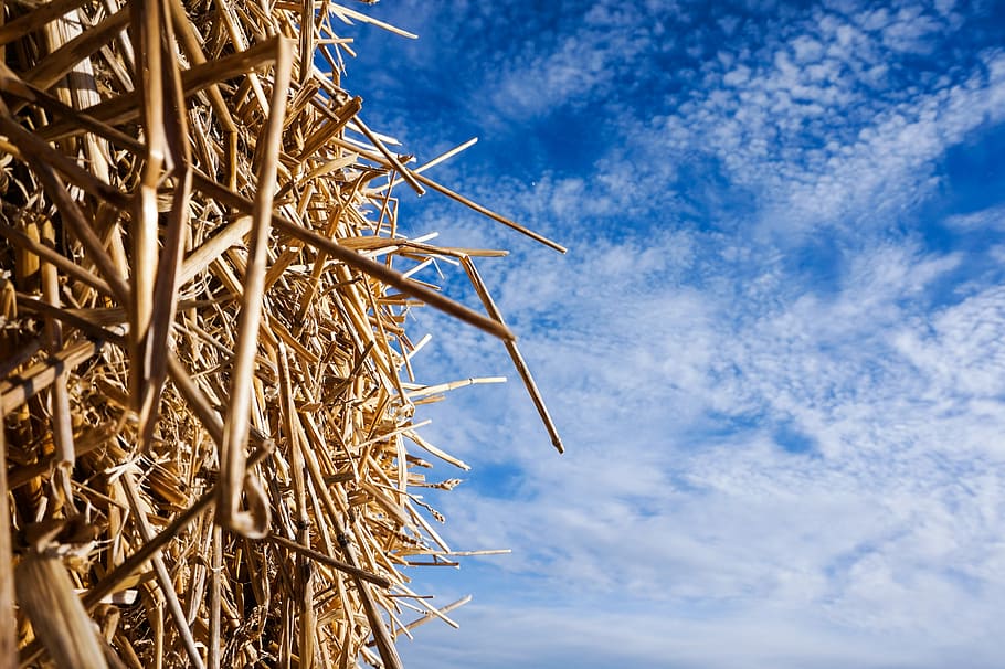 beige sticks under blue sky during daytime, cloud, hay, straw bale HD wallpaper