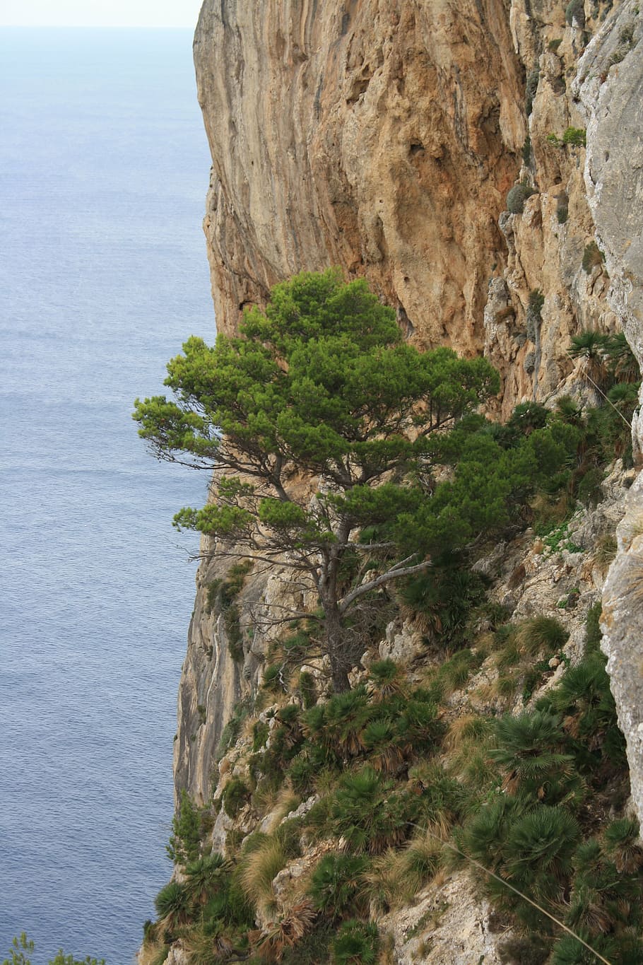 mallorca, steep slope, landscape, sea, blue water, tree, plant, HD wallpaper