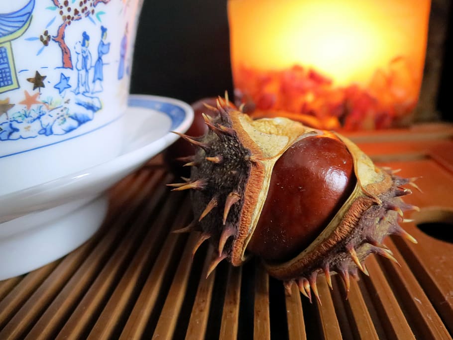 autumn, chestnut, candle, light, tea, gaiwan, horse chestnut HD wallpaper