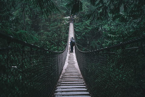 person on brown hanging bridge, man walking on hanging bridge HD wallpaper