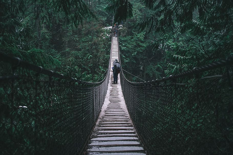 person on brown hanging bridge, man walking on hanging bridge HD wallpaper