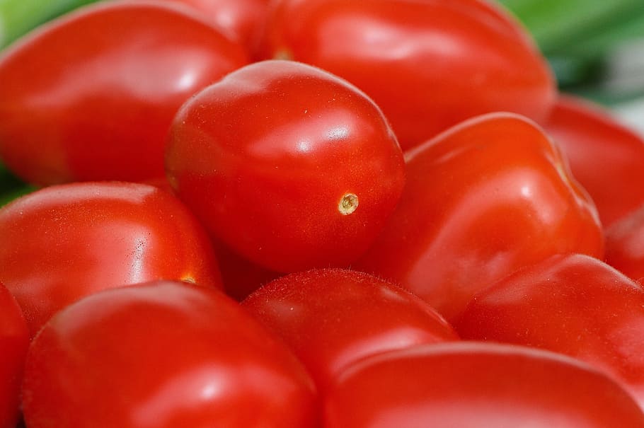 tomatoes, vegetables, macro, red, food, garden, healthy, market HD wallpaper