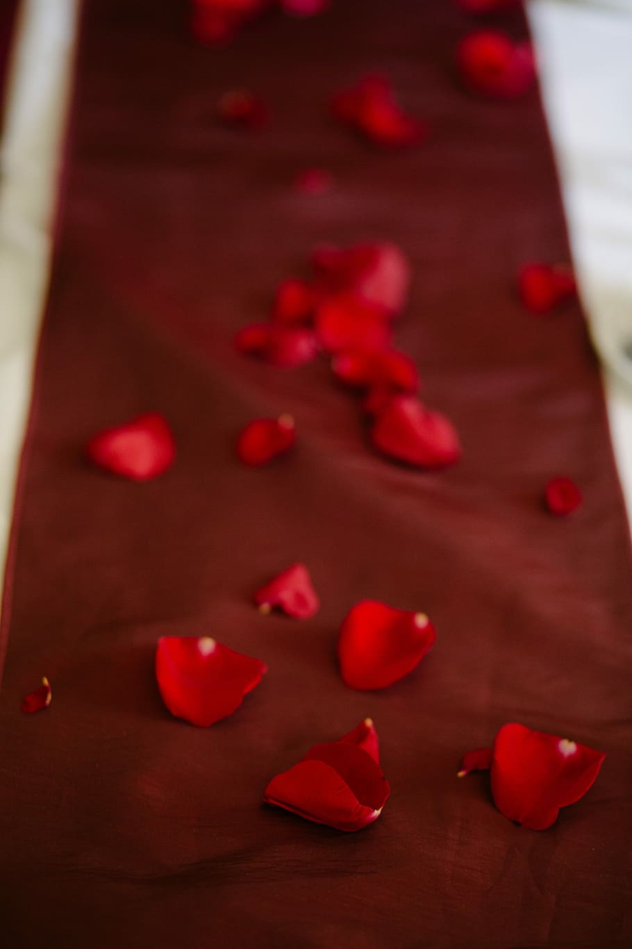 red flower petals on brown textile, red flower petals, path, romance HD wallpaper