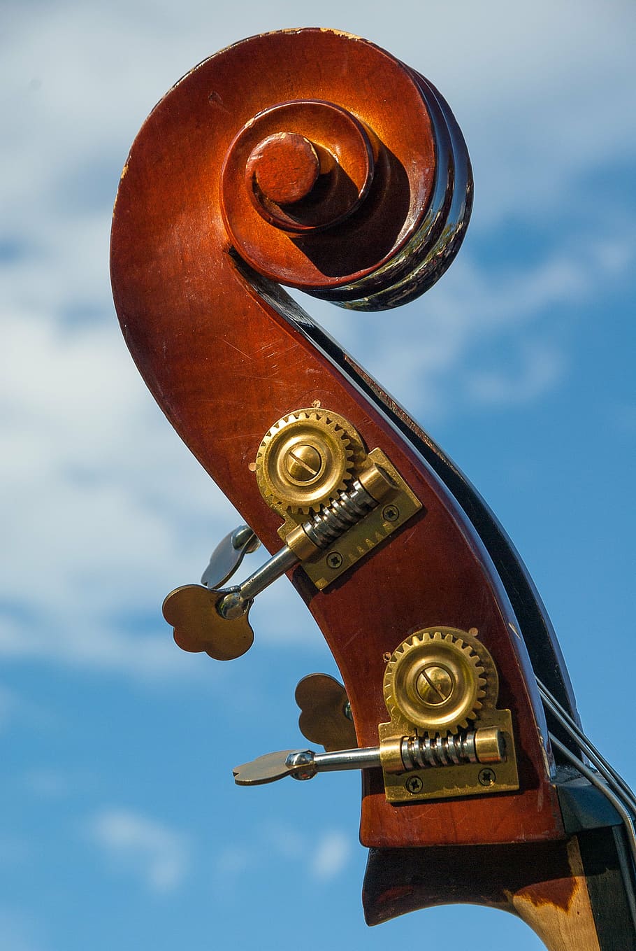 cello headstock, double bass, musical instrument, ankles, musician, HD wallpaper