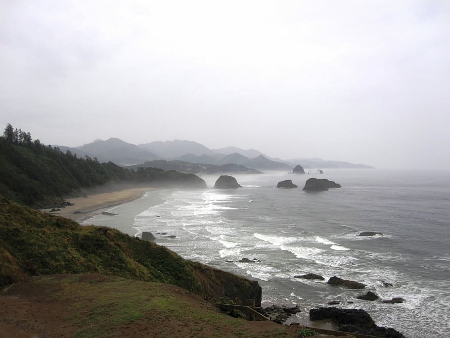 Oregon, Coast, Ecola State Park, Usa, sea, nature, fog, scenics, HD wallpaper