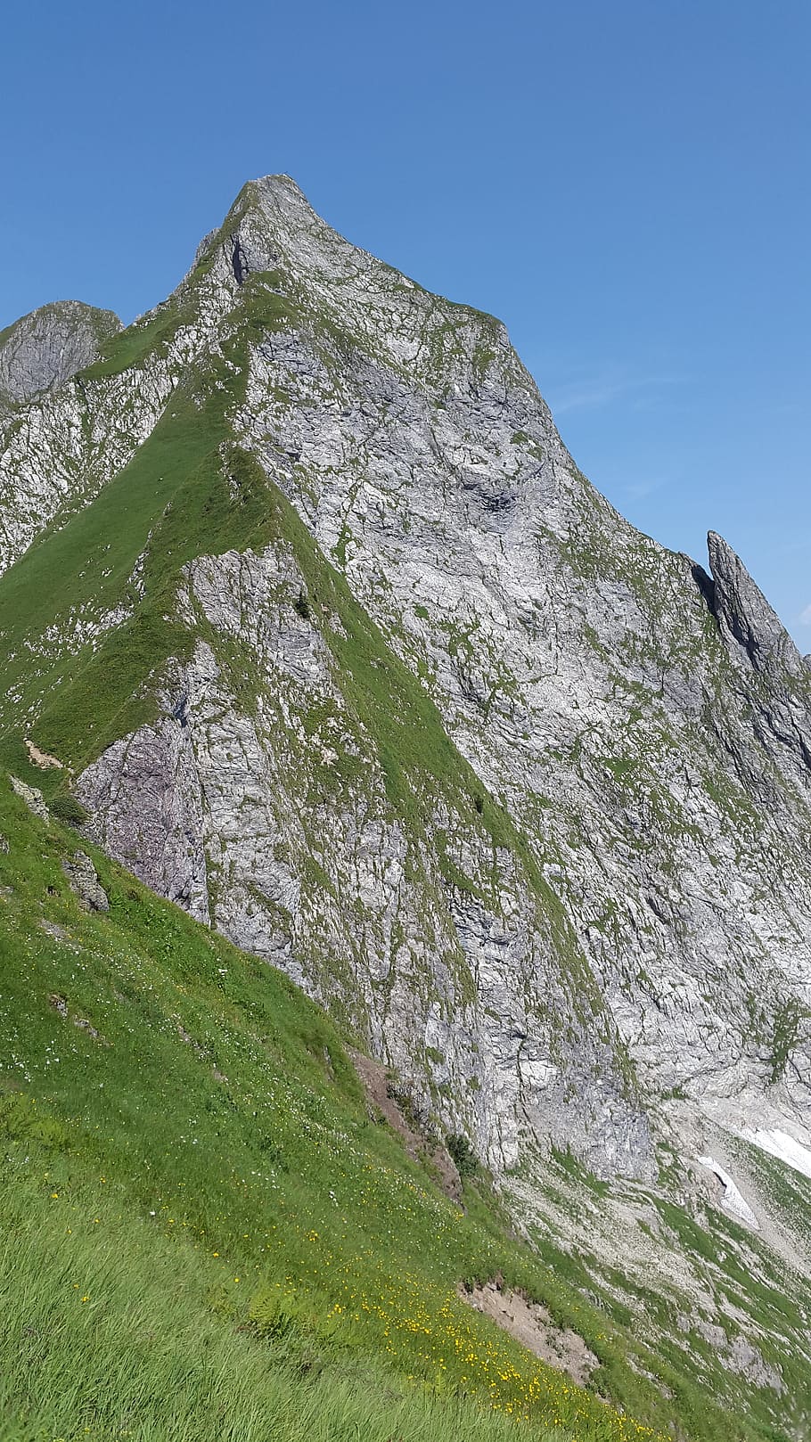 Höfats, Allgäu, Grasberg, Steep, Grass, steep grass, allgäu alps