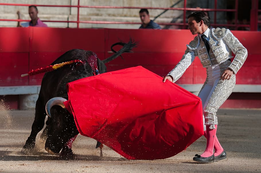 Bullfight, Bulls, Arenas, Beaucaire, toreador, full length, HD wallpaper