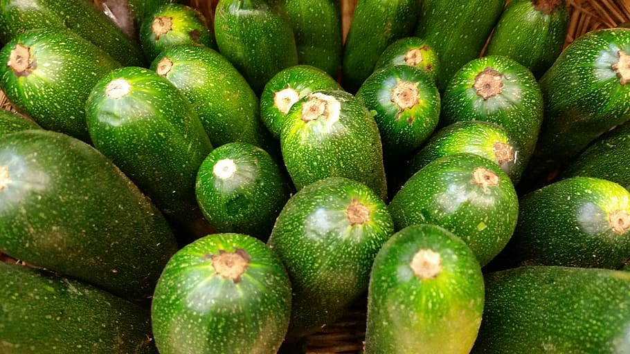 zucchini, bio, vegetable, food and drink, healthy eating, wellbeing HD wallpaper