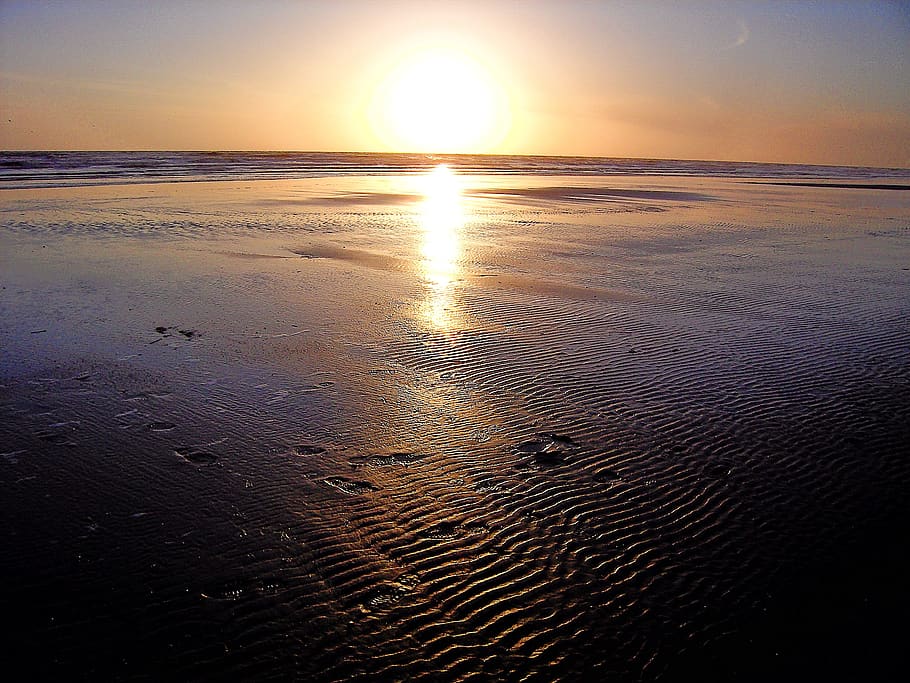 beach, sea, sunset, vacations, sky, water, beauty in nature HD wallpaper