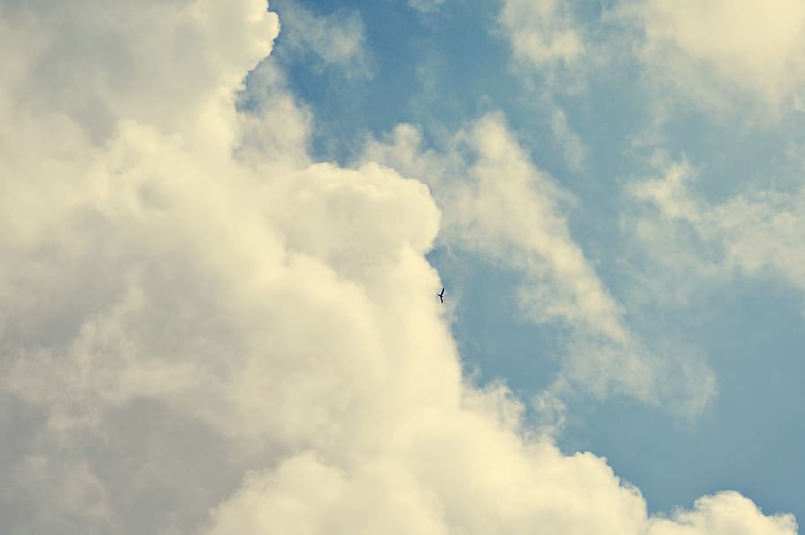 sky, clouds, bird, dom, blue, nature, flying, bright, scene HD wallpaper