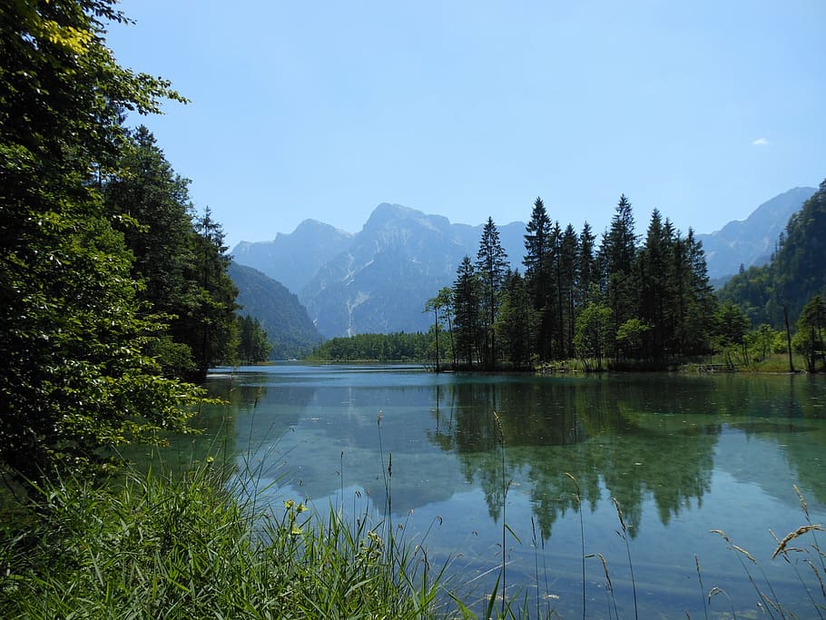 nature, landscape, almsee, tree, plant, scenics - nature, water HD wallpaper