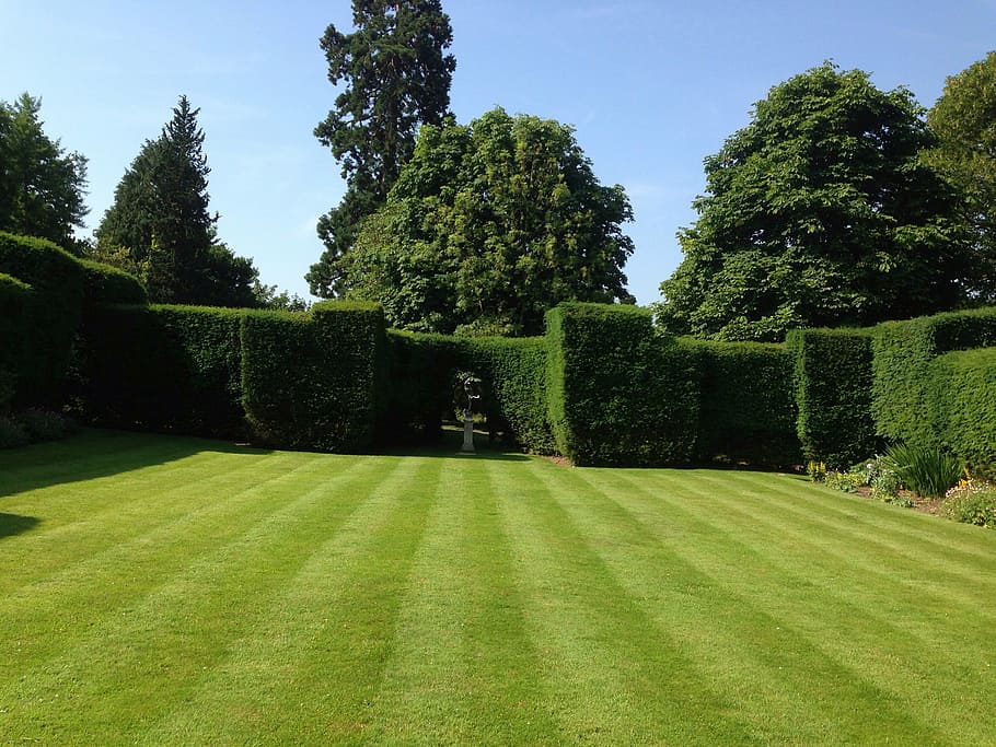 mowed grass lawn, garden, summer, landscaping, plant, tree HD wallpaper