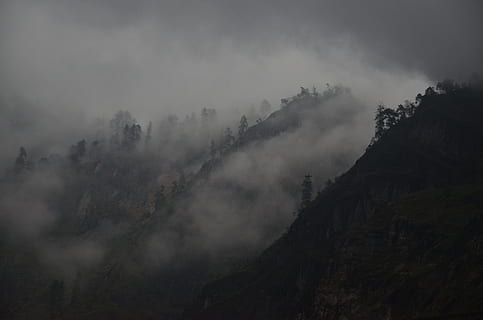 black mountain surrounded by fog, silhouette photo of trees and hills during fog HD wallpaper