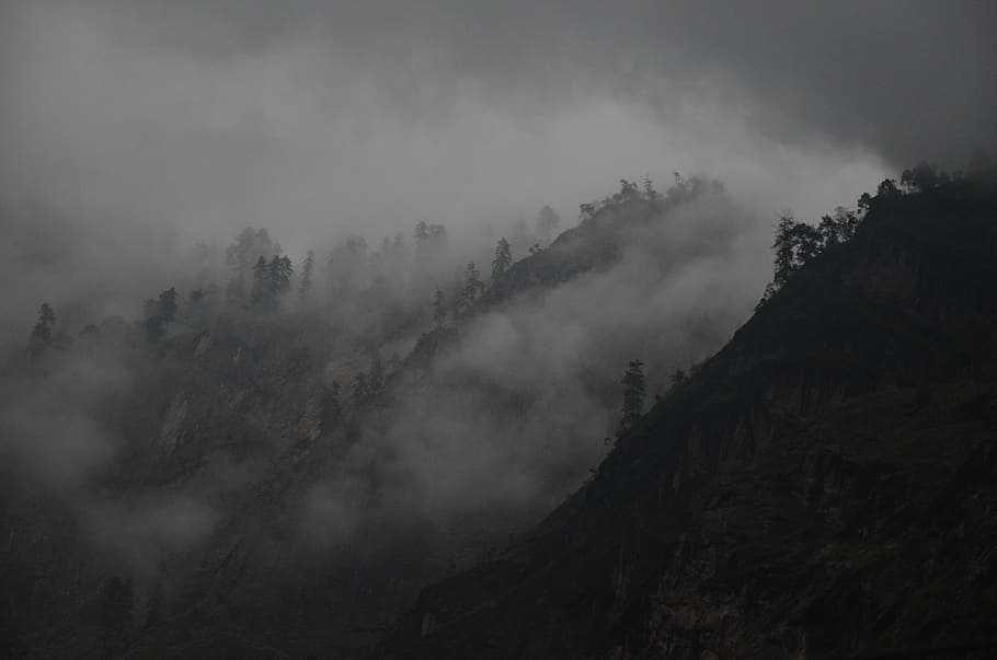 black mountain surrounded by fog, silhouette photo of trees and hills during fog HD wallpaper