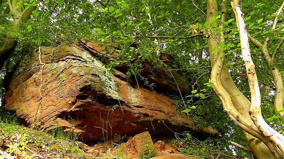 rock, steep, stone, nature, palatinate, sandstone rocks, sand stone HD wallpaper