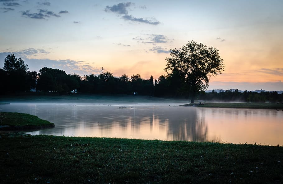 Tree, Reflections, Nature, park, landscape, water, lake, tranquil scene HD wallpaper