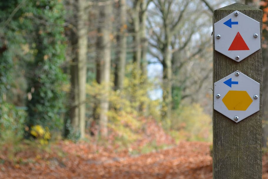 Walking Path, Arrows, Direction, trees, hiking, autumn walk HD wallpaper
