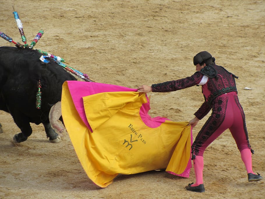 Marine bullfighting belt with pink and yellow or marine herds with pink  herds, bullfighter, bullring, - AliExpress