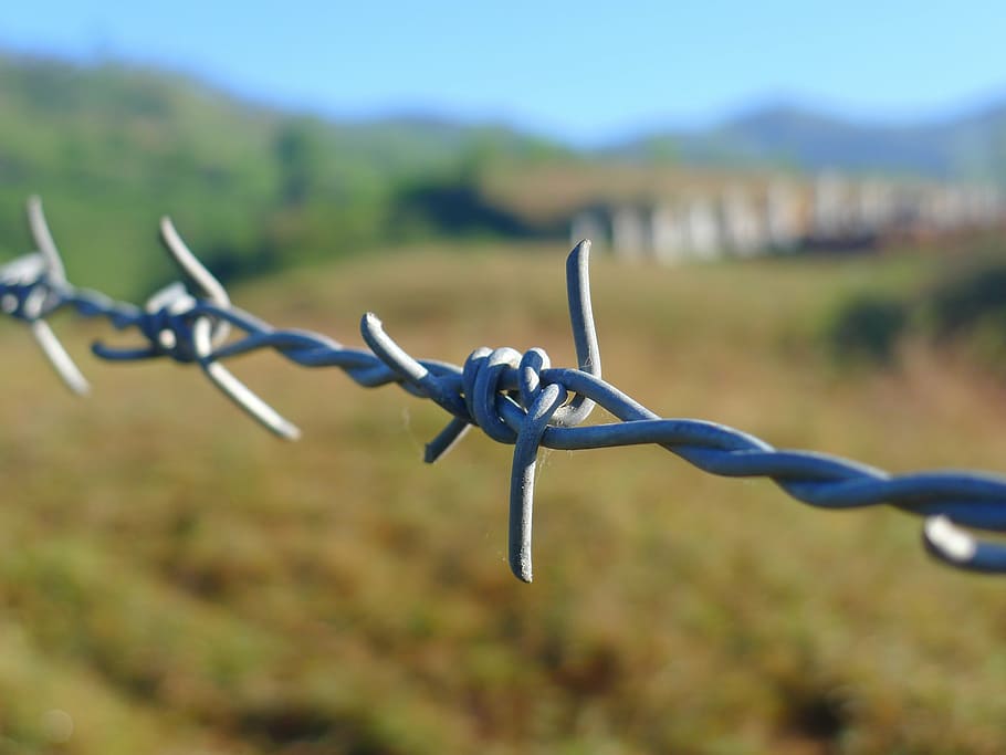 bokeh photography of barbwire, fence, border, security, barrier