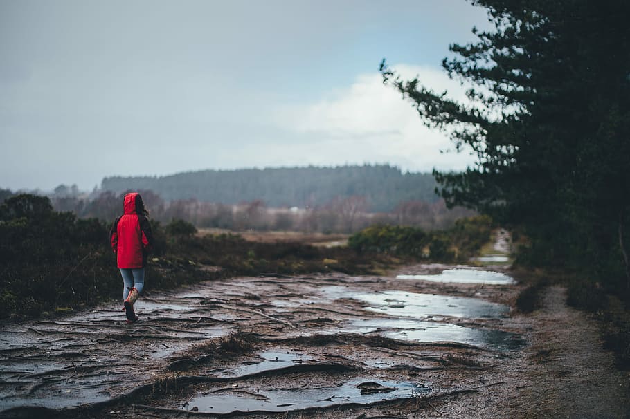 Child walking in rain, person walking on mud beside trees, red HD wallpaper