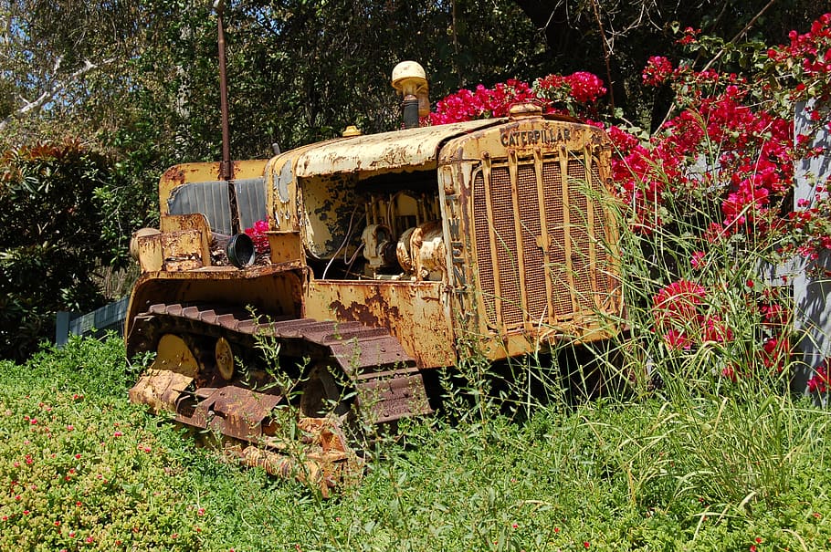 tractor, old, machine, rusty, plant, land, nature, grass, field HD wallpaper