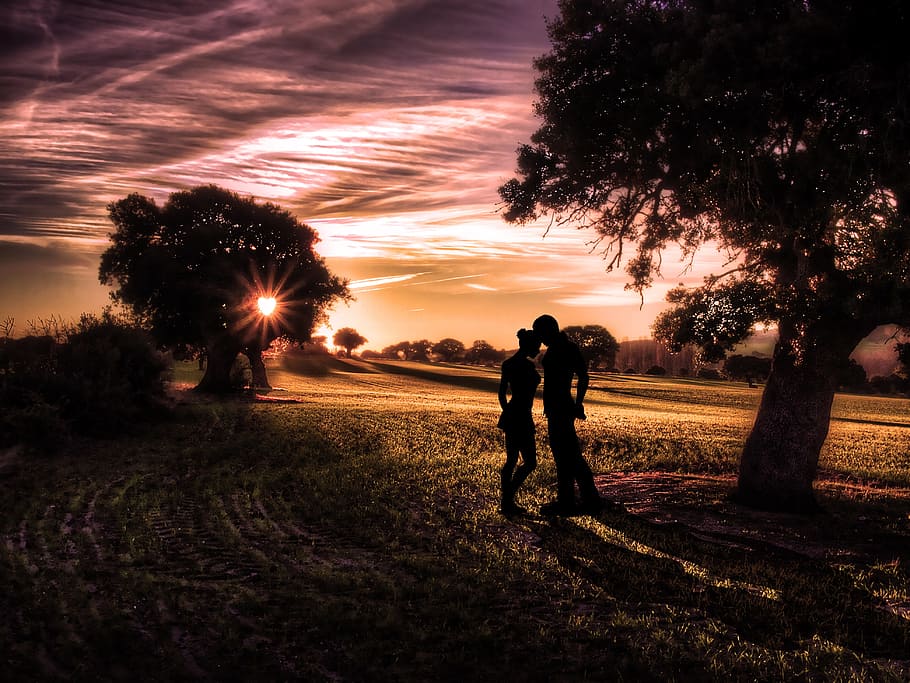 tree, sunset, landscape, dawn, dusk, romance, love, couple HD wallpaper