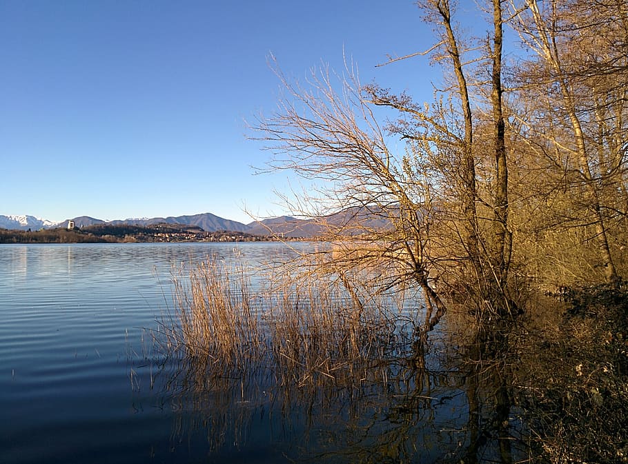 Lake, Water, Shrubs, Trees, Rovi, Sky, mountains, skyline, comabbio HD wallpaper