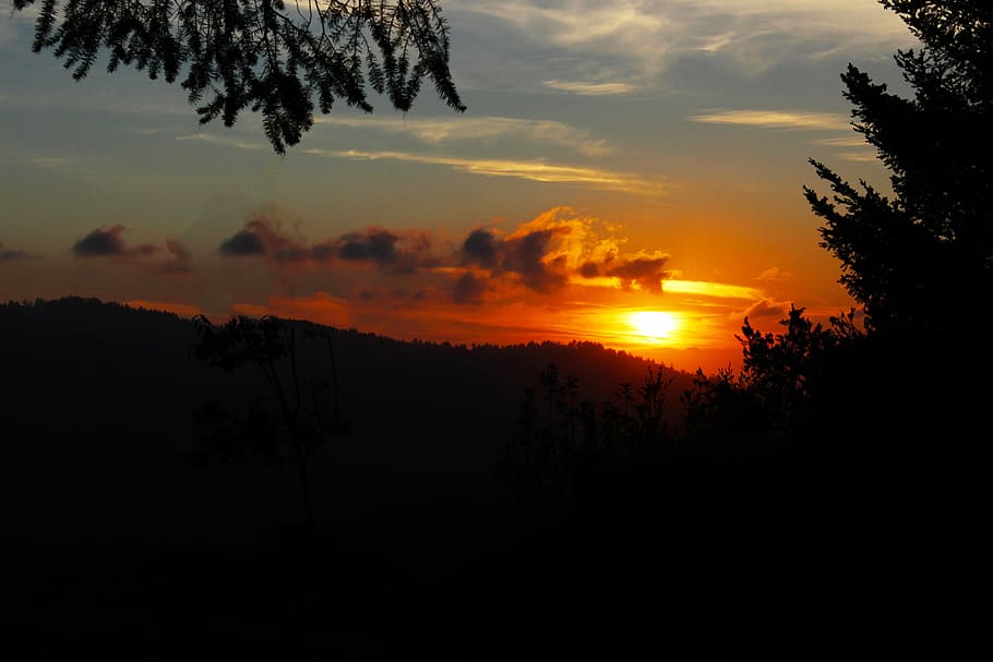 Sunset, Landscape, Evening, Horizon, nature, silhouettes, tree HD wallpaper