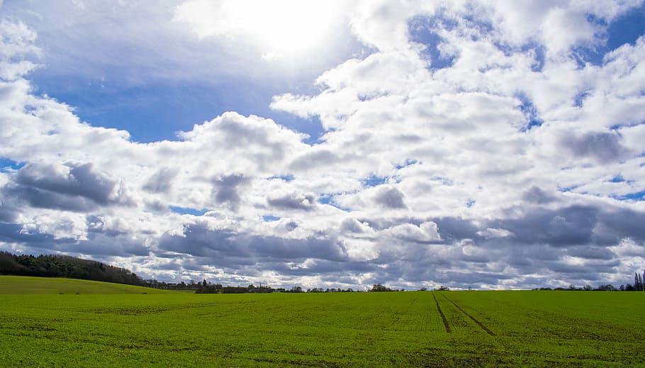 Sky, Grass, Field, Landscape, Cloud, wind, nature, background HD wallpaper