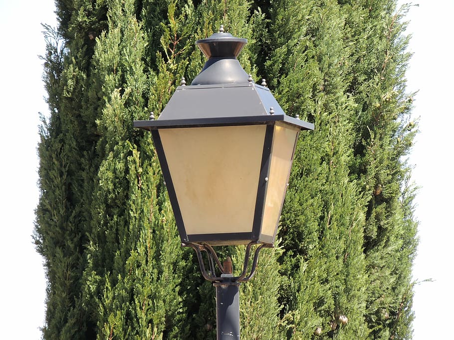 street lamp, background, light, contrast, lantern, plant, growth HD wallpaper