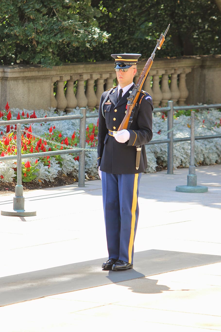 sd, arlington, cemetery, guard, change, honor, military, soldier, HD wallpaper
