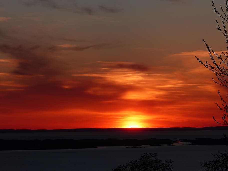 Sunset, Colors, Nature, Tree, orange color, scenics, tranquil scene HD wallpaper