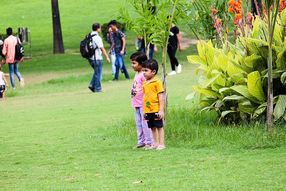 kids, children, park, garden, play, plant, childhood, grass