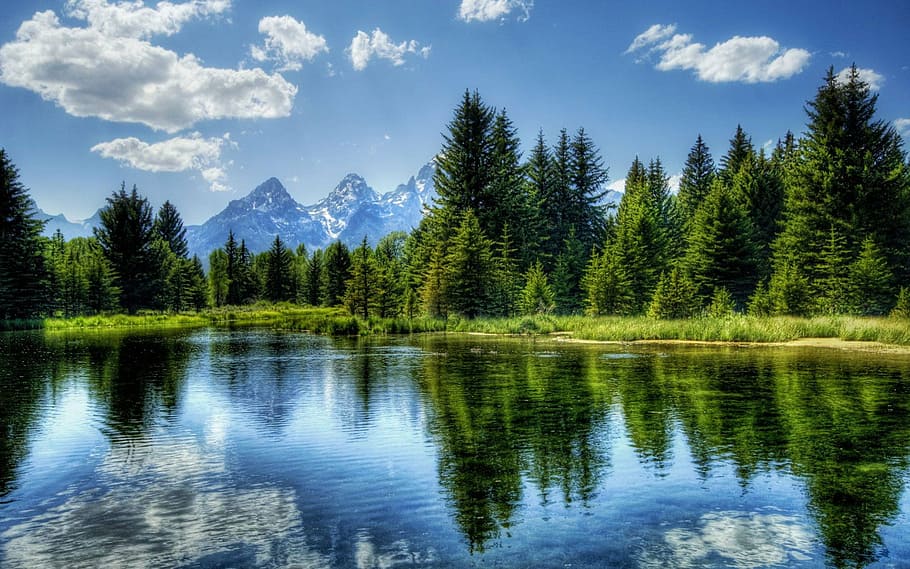 clouds, conifer, daylight, evergreen, forest, idyllic, lake HD wallpaper