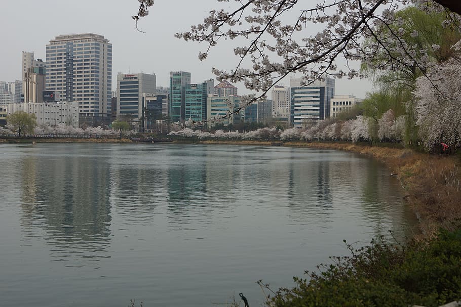 jamsil, songpa, seokchon lake, building exterior, architecture