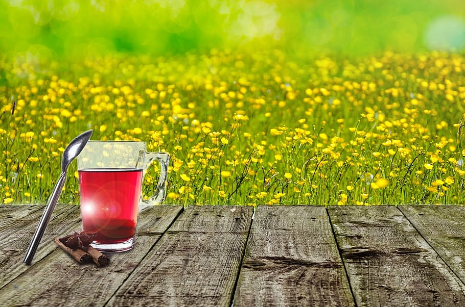 red liquid filled mug illustration, spring, background, flower HD wallpaper