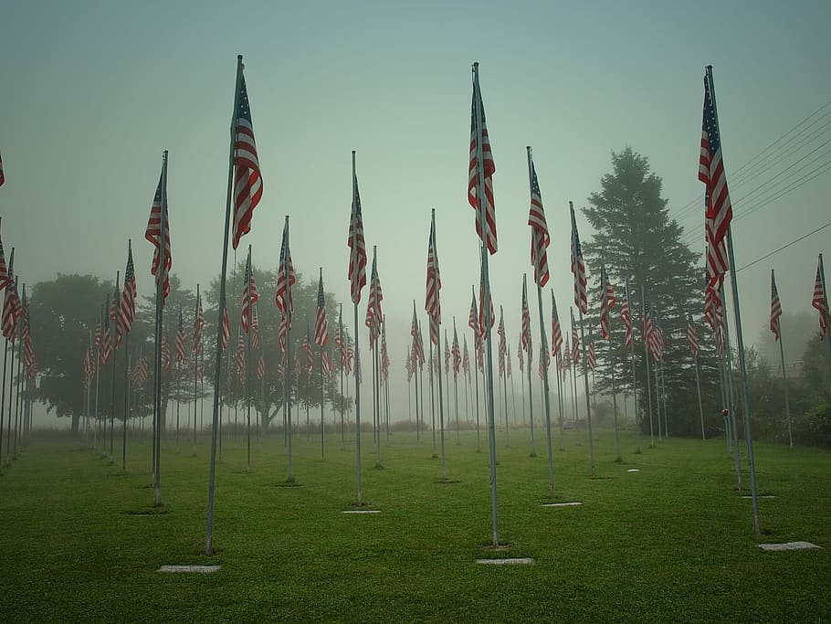 Emotions, Cemetery, Military, Morning, fog, flag, patriotism, HD wallpaper