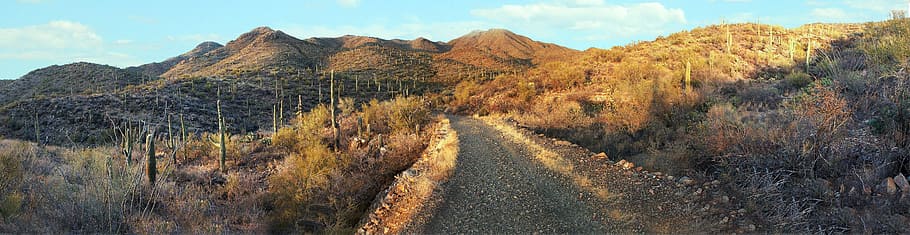 Panorama landscape of Saguaro National Park, Arizona, photos, HD wallpaper