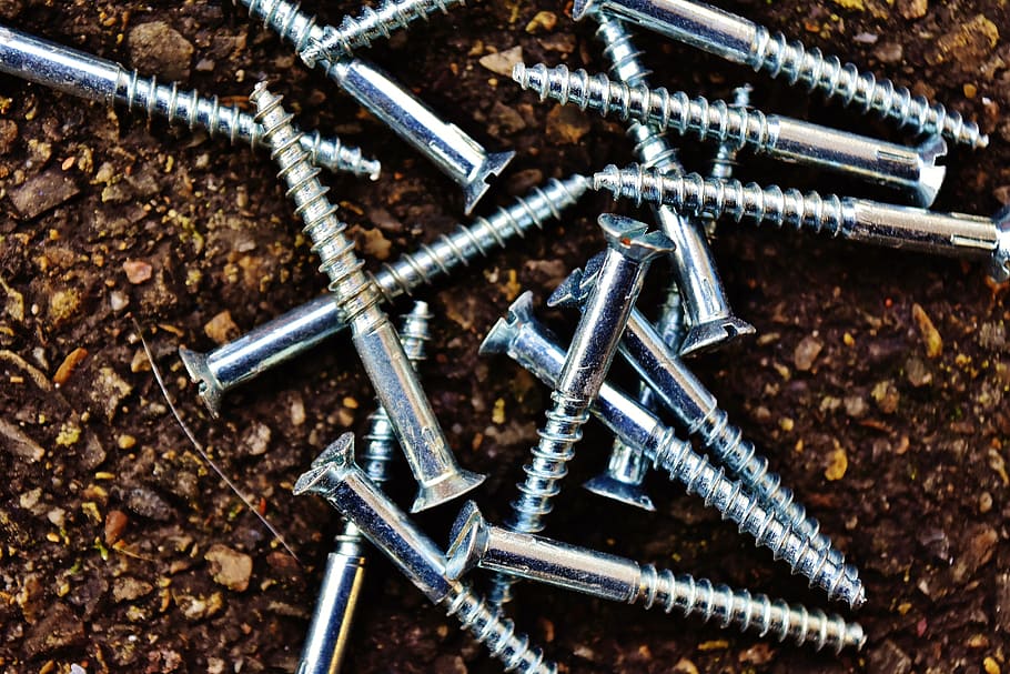 Screw, Slotted, Screws, Silver, slotted screws, construction Industry HD wallpaper