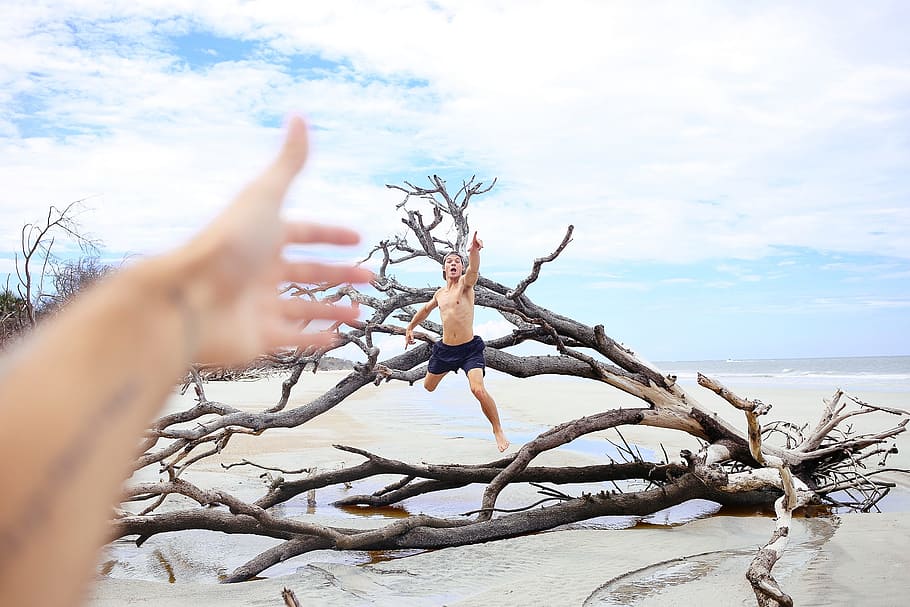 sea, clouds, branches, hands, man, people, beach, nature, sky HD wallpaper